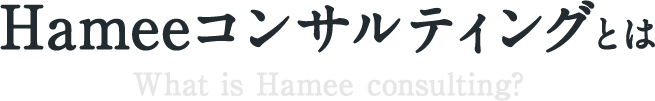 Hameeコンサルティングとは